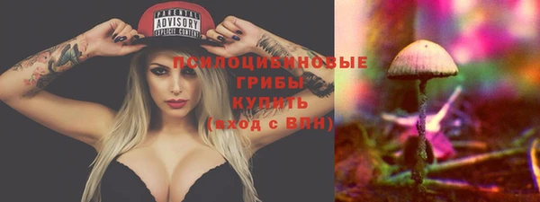 прущий лед Семёнов