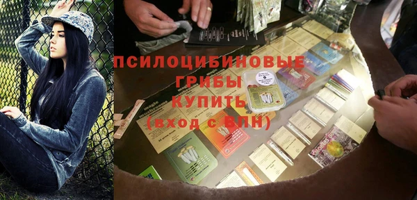стаф Баксан