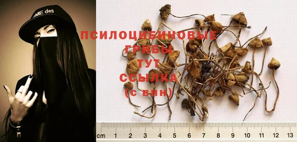 МДПВ Балабаново